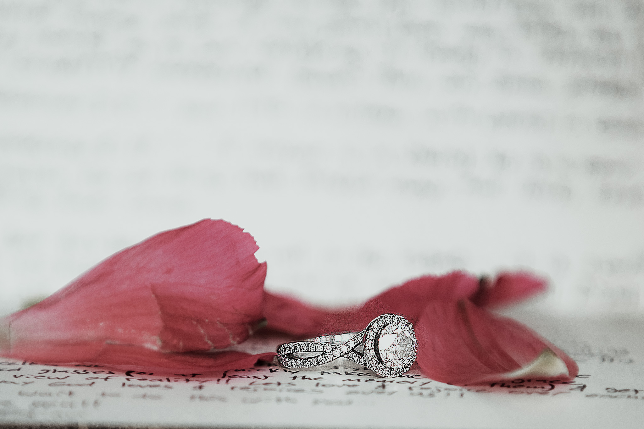 Houston Wedding Photographer